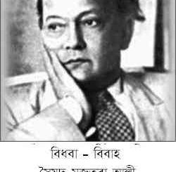 Bidhoba Bibaho : Syed Mujtaba Ali ( সৈয়দ মুজতবা আলী : বিধবা - বিবাহ ) 19